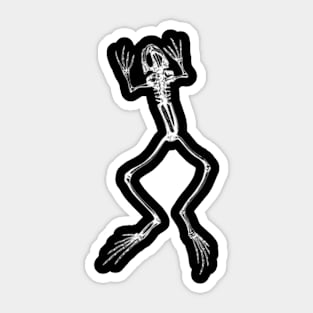 Southern Decay Jumping Frog Skeleton Sticker